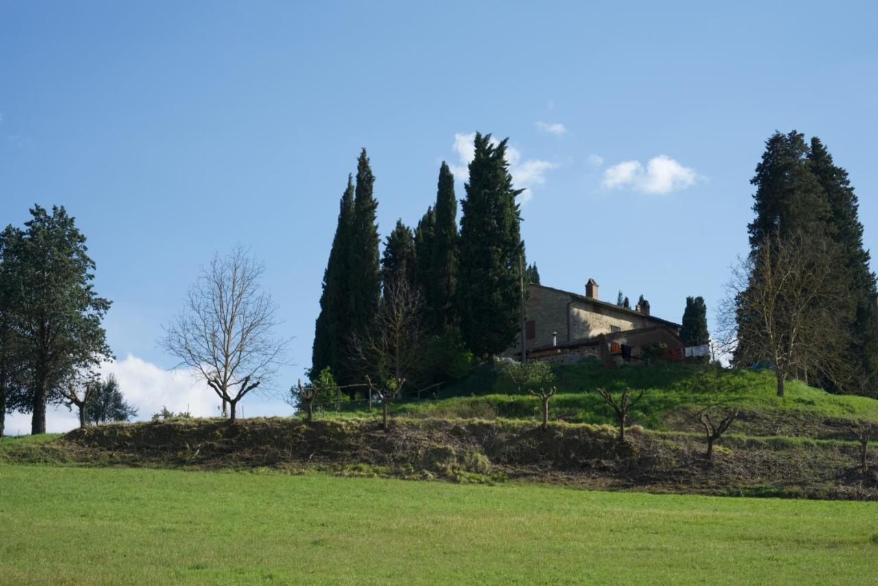Agriturismo Il Caio 세토나 외부 사진